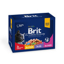 BRIT Pouches Family Talíř 12x100g