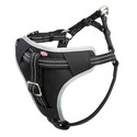 Postroj do auta Trixie Dog L 65-80 cm/25 mm