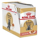 Royal Canin Adult British Shorthair kapsičky pro kočky v omáčce 12x 85g