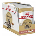 ROYAL CANIN Maine Coon sada kapsiček pro dospělé mainské mývalí kočky 12x 85 g
