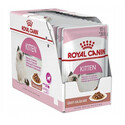 Royal Canin Kitten Instinctive sada kapsiček pro koťata s citlivou pokožkou a srstí v omáčce 12x 85 g