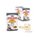 ROYAL CANIN Intense BEAUTY mokré krmivo v omáčce pro kočky 12x 85 g