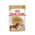 ROYAL CANIN Dachshund sada kapsiček pro dospělé jezevčíky 12x 85 g 