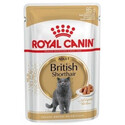 Royal Canin Adult British Shorthair 85 g kapsička pro dospělé kočky