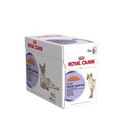 Royal Canin Digest Sensitive kapsičky pro kočky s citlivým trávicím traktem 12x 85 g
