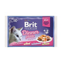 BRIT Premium Fillet mix příchutí v želé pro kočky 52x 85 g