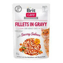 BRIT Care filety ve slané omáčce z lososa 24x 85 g filetů z lososa v omáčce