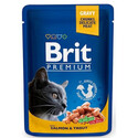 BRIT Premium Cat Adult kapsička s lososem a pstruhem pro kočky 24x 100 g