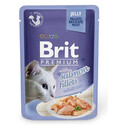BRIT Premium filety z lososa v želé 24x 85 g