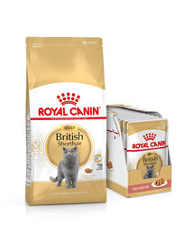 ROYAL CANIN British Shorthair krmivo pro dospělé kočky 10 kg + kapsičky 12x85 g