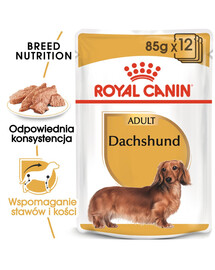 ROYAL CANIN Paštika pro dospělé psy jezevčíků