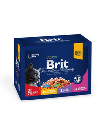 BRIT Premium Cat Sachet Set Family Plate 100g