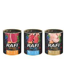 DOLINA NOTECI RAFI Mix příchutí (kachna, křepelka, jehněčí) 36x400g