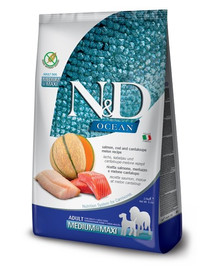N&D Ocean Dog Adult Medium & Maxi salmon, cod, pumpkin & cantaloupe melon 2.5 kg