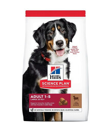 HILL'S Science Plan Canine Adult Large Breed Lamb&Rice karma dla psów dużych ras z jagnięciną i ryżem 14 kg
