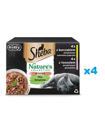 SHEBA Nature's Collection Směs chutí v omáčce s kuřecím masem zdobeným červenou paprikou, s lososem zdobeným hráškem 32x85g