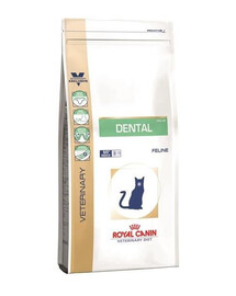 Royal Canin Cat Dental Feline 3 kg granule pro kočky s rizikem onemocnění dutiny ústní 