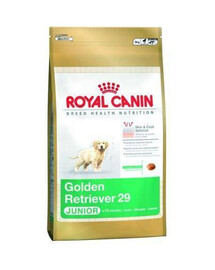 ROYAL CANIN Golden retriever junior granule pro štěňata zlatého retrívra 1 kg
