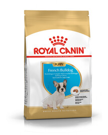 Royal Canin French Bulldog Puppy 3 kg - granule pro mladé francouzské buldočky