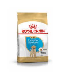 Royal Canin Labrador Retriever Puppy 3 kg - granule pro štěňata a mladé psy plemene labradorský retrívr