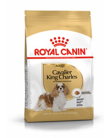 Royal Canin Adult Cavalier King Charles Spaniel 1,5 kg - granule pro psy starší 10 měsíců 