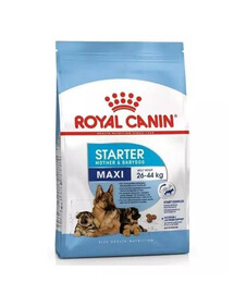 Royal Canin SHN Maxi Starter Mother & Baby Dog 4 kg - granule pro březí feny a štěňata velkých plemen