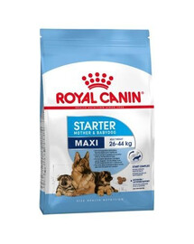 Royal Canin Maxi Starter Mother & Babydog 15 kg - granule pro feny a štěňata
