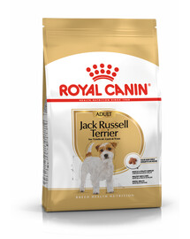 Royal Canin Jack Russell Terrier Adult 500 g granule pro dospělé Jack Russel teriéry
