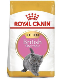 Royal Canin British Shorthair Kitten 0,4 kg - granule pro britská krátkosrstá koťata 0,4 kg