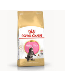Royal Canin Kitten Maine Coon 4 kg - granule pro koťata
