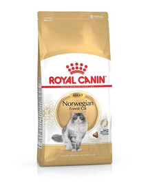 Royal Canin Adult Norwegian Forest Cat 10 kg - granule pro dospělé norské lesní kočky