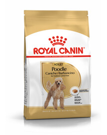 Royal Canin Adult Poodle 1,5 kg - granule pro pudly starší 10 měsíců