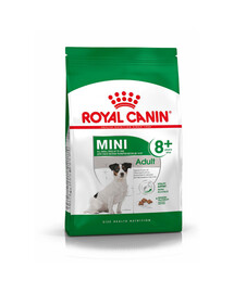 Royal Canin Mini Adult 8+ 0,8kg granule pro starší psy malých plemen starší 8 let