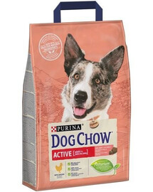 Dog Chow Active Adult with Chicken 14 kg granule pro aktivní dospělé psy s kuřecím masem 14 kg