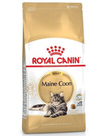 Royal Canin Adult Maine Coon 10 kg - granule pro dospělé kočky