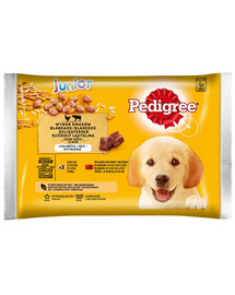 PEDIGREE Junior výběr příchutí s rýží 52x 100 g kapsička pro psy