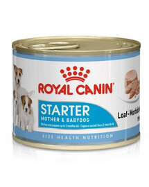 Royal Canin Starter Mousse Mother & Babydog 195 g kapsička pro feny a štěňata