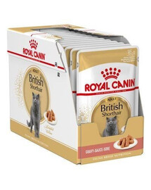 Royal Canin Adult British Shorthair kapsičky pro kočky v omáčce 12x 85g