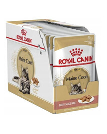 ROYAL CANIN Maine Coon sada kapsiček pro dospělé mainské mývalí kočky 12x 85 g