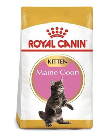 Royal Canin Maine Coon Kitten 10 kg - granule pro mainská mývalí koťata