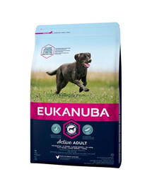 Eukanuba Adult Large Breed Chicken 15 kg granule pro psy s kuřecím masem
