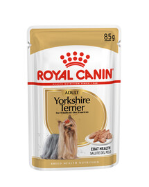 ROYAL CANIN Yorkshire Terrier Adult sada kapsiček pro dospělé jorkšírské teriéry 12x 85 g
