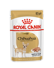 ROYAL CANIN Chihuahua Adult sada kapsiček pro dospělé čivavy 12x 85 g