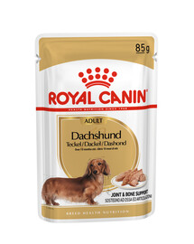 ROYAL CANIN Dachshund sada kapsiček pro dospělé jezevčíky 12x 85 g 