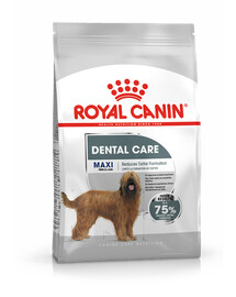 Royal Canin Dental Care Maxi 3 kg granule pro dospělé psy, velká plemena se sklonem k citlivosti zubů