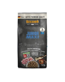 BELCANDO Junior Maxi L-XL 12,5 kg granule pro psy velkých plemen od 4 měsíců