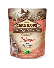 Carnilove Salmon & Blueberries Puppy 300 g kapsička pro štěňata s lososem a borůvkami