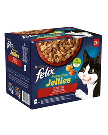 FELIX Sensations MP MIX kapsičky pro dospělé kočky všech plemen 24 x 85 g