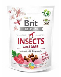 BRIT Care Dog Crunchy Crakcer Insect&Lamb 200 g křupavé pamlsky s hmyzem a jehněčím masem pro dospělé psy 200 g