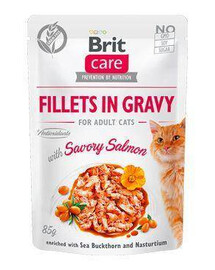 BRIT Care filety ve slané omáčce z lososa 24x 85 g filetů z lososa v omáčce